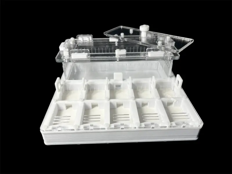Мурашина ферма ANTMART Grid White 200х200 (Варіант Б) — гіпс Г-23 і PETG