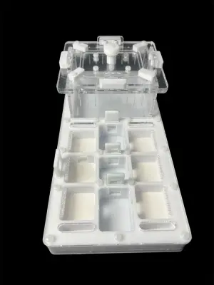 Мурашина ферма ANTMART Apex White А (220х110 мм)
