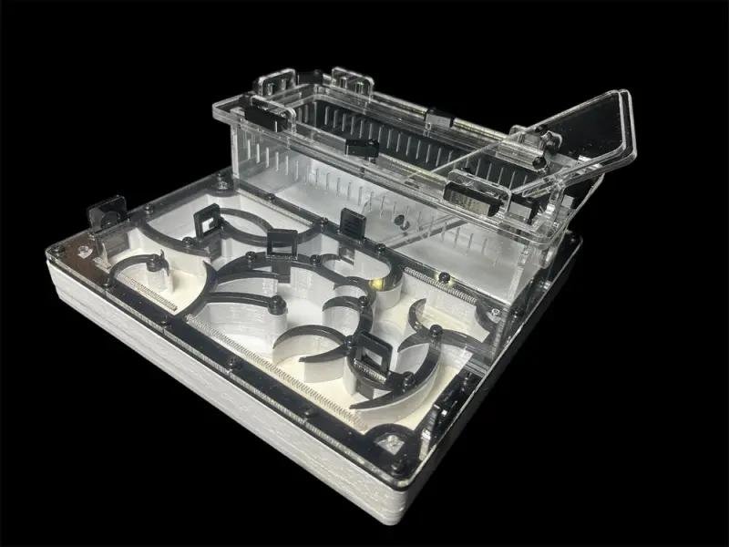 Мурашина ферма Origin Black 200х200 с гіпсом Г23 из PETG (Варіант А)