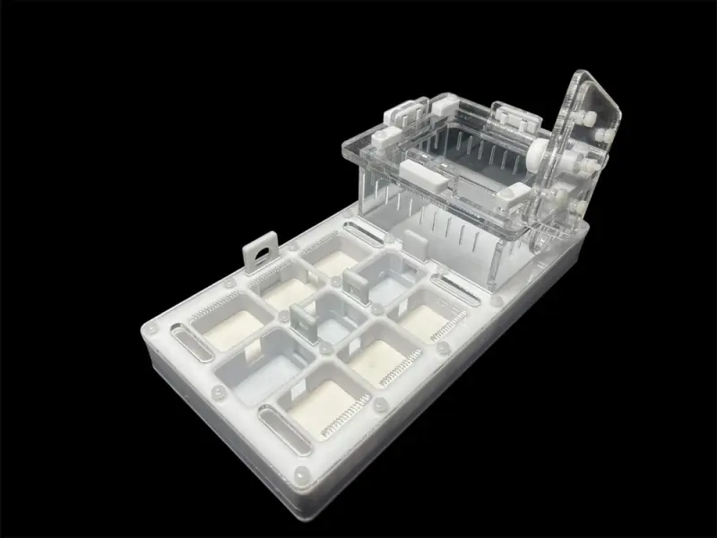 Мурашина ферма ANTMART Apex White А (220х110 мм)