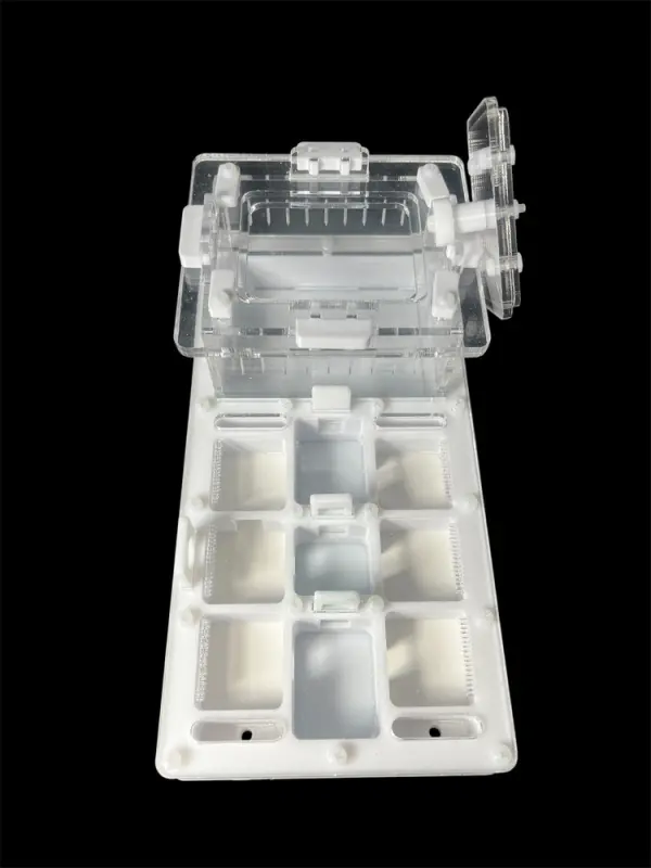 Мурашина ферма ANTMART Apex White А (220х110 мм)