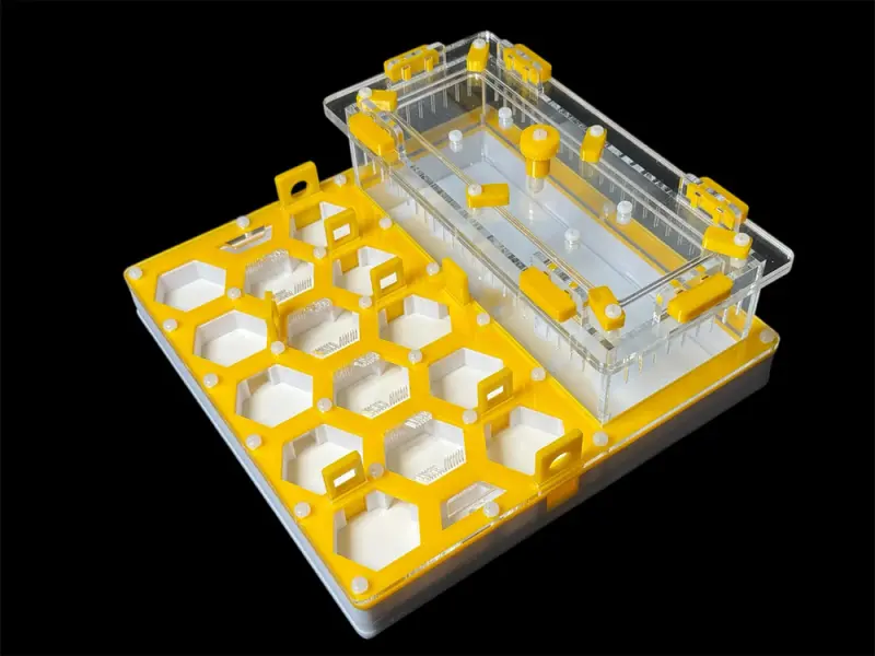 Мурашина ферма ANTMART Соти Yellow Б 200х200 мм