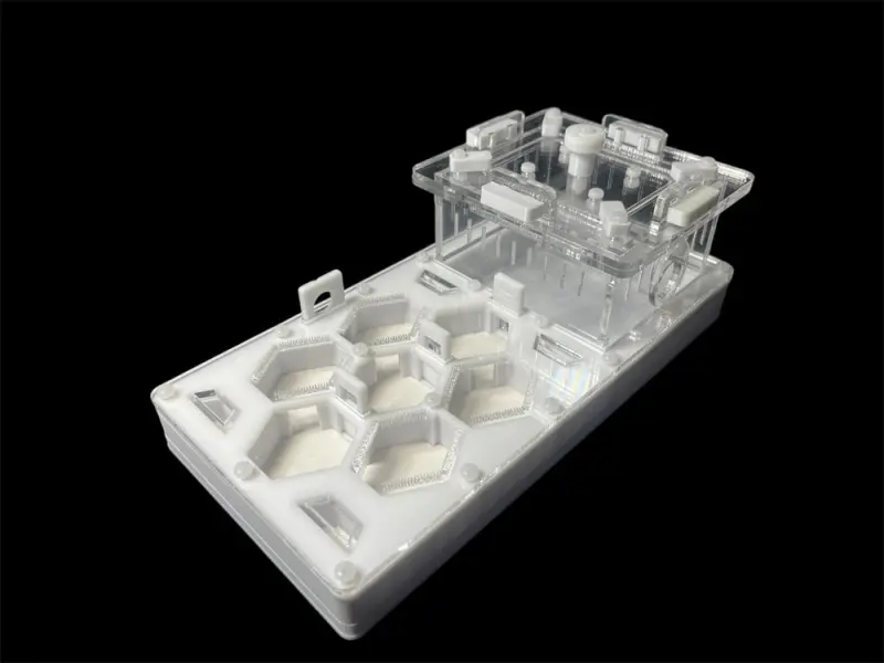 Мурашина ферма ANTMART Соти White 220x110 Варіант Б