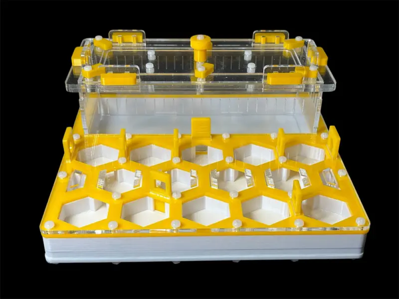 Мурашина ферма ANTMART Соти Yellow Б 200х200 мм