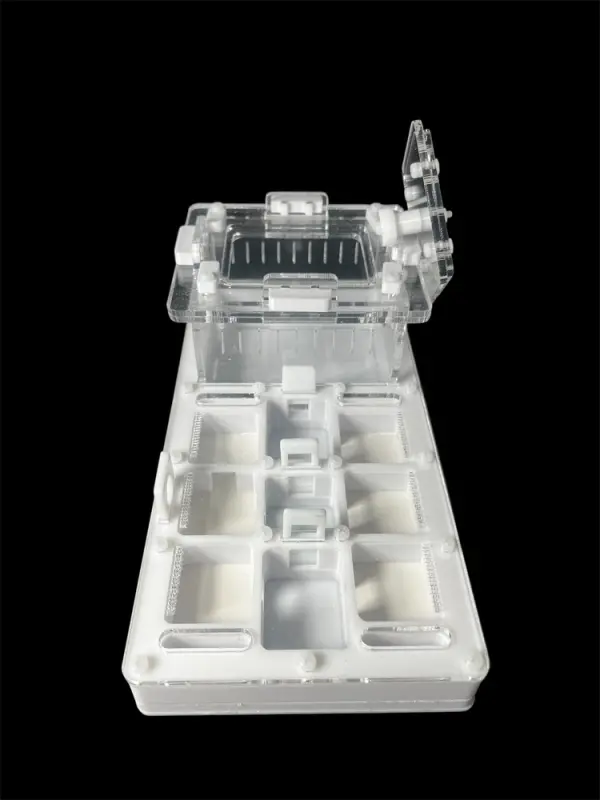 Мурашина ферма ANTMART Apex White А (220х110 мм)