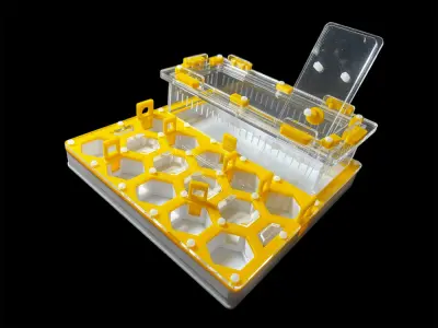 Мурашина ферма ANTMART Соти Yellow А 200х200 мм