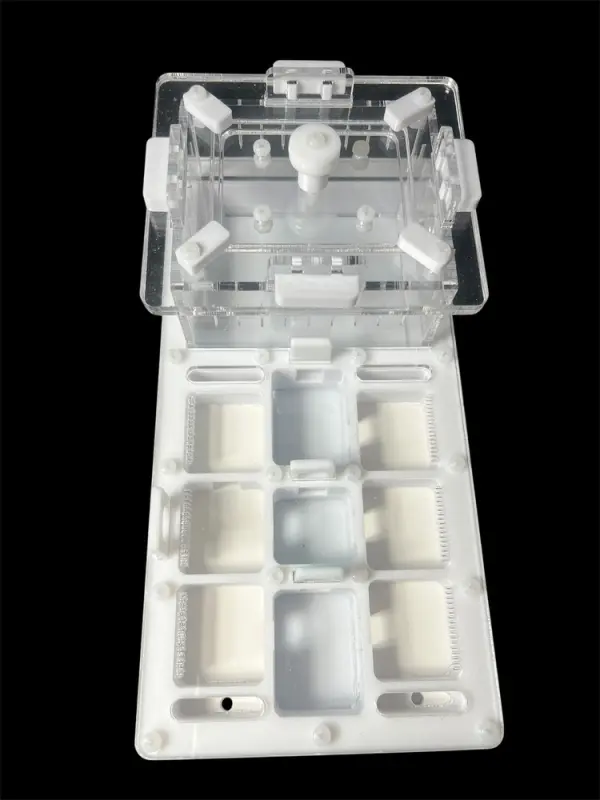 Мурашина ферма ANTMART Apex White А (220х110 мм)