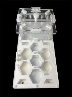 Мурашина ферма ANTMART Соти White 220x110 Варіант А