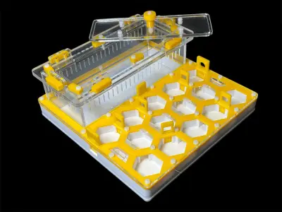 Мурашина ферма ANTMART Соти Yellow Б 200х200 мм