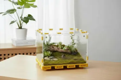 Тераріум ANTMART Yellow 300х300х200 мм с магнитной дверцей і PETG дном