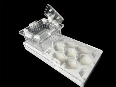 Мурашина ферма ANTMART Соти White 220x110 Варіант Б