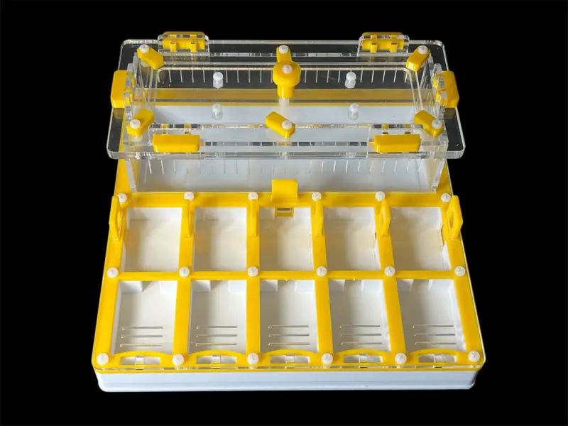 Мурашина ферма ANTMART Grid Yellow 200х200 (Варіант Б) — гіпс Г-23 і PETG