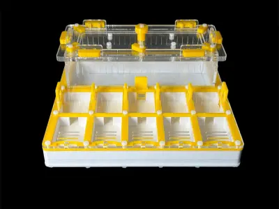 Мурашина ферма ANTMART Grid Yellow 200х200 (Варіант Б) — гіпс Г-23 і PETG