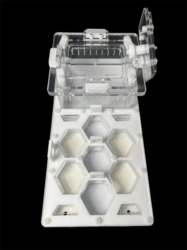 Мурашина ферма ANTMART Соти White 220x110 Варіант А