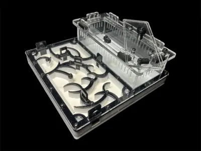Мурашина ферма Origin Black 200х200 с гіпсом Г23 из PETG (Варіант Б)