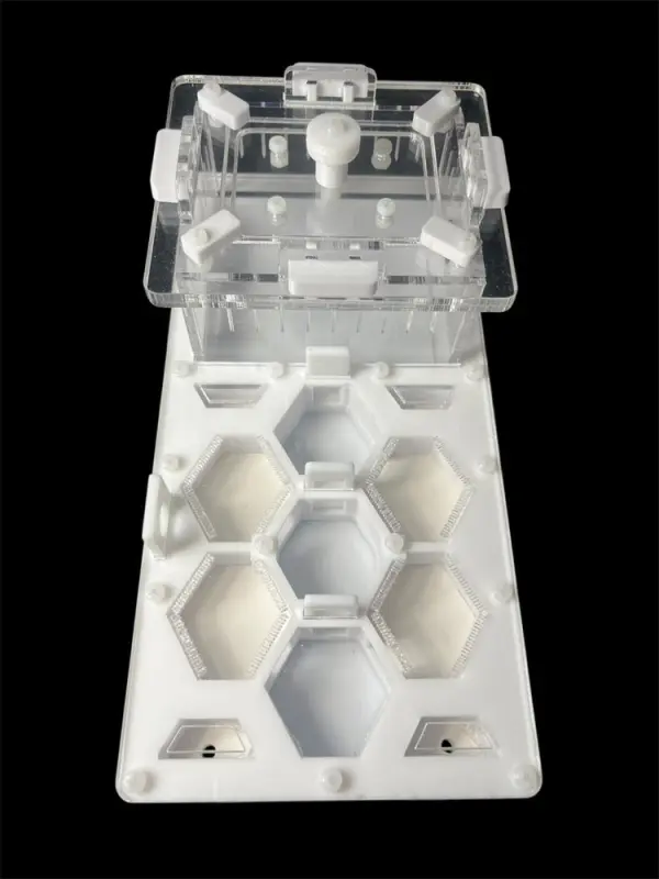 Мурашина ферма ANTMART Соти White 220x110 Варіант А