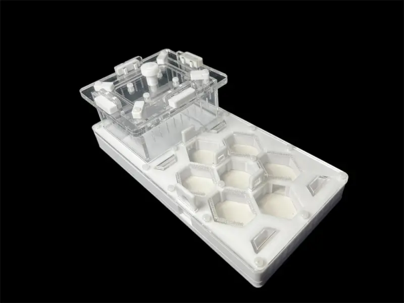 Мурашина ферма ANTMART Соти White 220x110 Варіант Б