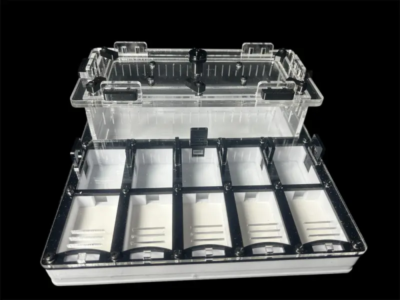 Мурашина ферма ANTMART Grid Black 200х200 (Варіант А)