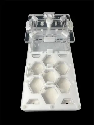 Мурашина ферма ANTMART Соти White 220x110 Варіант Б