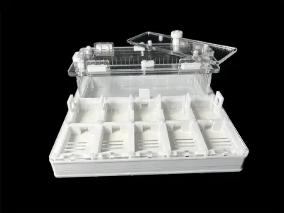 Мурашина ферма ANTMART Grid White 200х200 (Варіант Б) — гіпс Г-23 і PETG