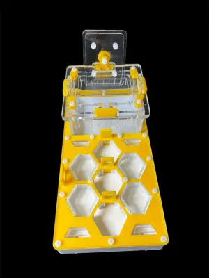 Мурашина ферма ANTMART Соти Yellow 220x110 Варіант Б