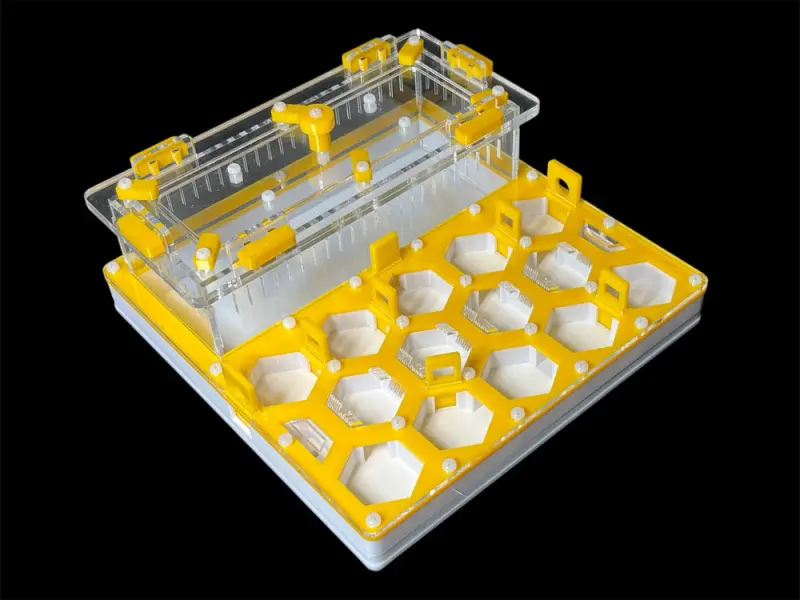 Мурашина ферма ANTMART Соти Yellow Б 200х200 мм
