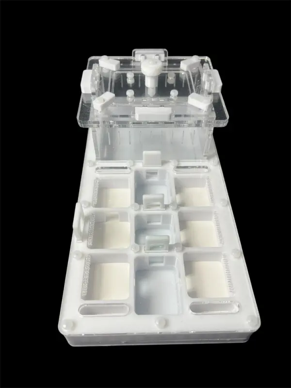 Мурашина ферма ANTMART Apex White А (220х110 мм)