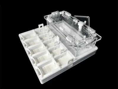 Мурашина ферма ANTMART Grid White 200х200 (Варіант Б) — гіпс Г-23 і PETG
