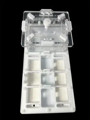 Мурашина ферма ANTMART Apex White А (220х110 мм)