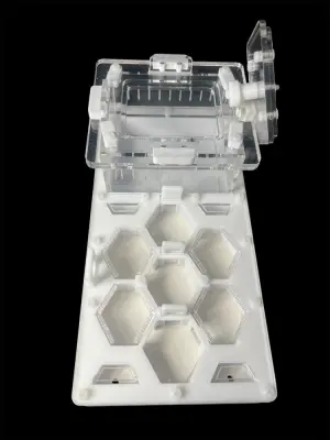 Мурашина ферма ANTMART Соти White 220x110 Варіант Б