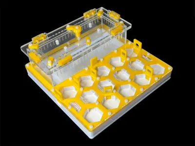 Мурашина ферма ANTMART Соти Yellow Б 200х200 мм