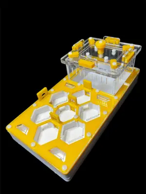 Мурашина ферма ANTMART Соти Yellow 220x110 Варіант Б