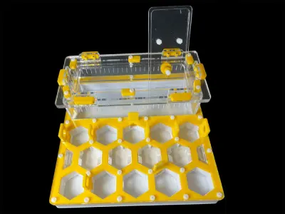 Мурашина ферма ANTMART Соти Yellow А 200х200 мм