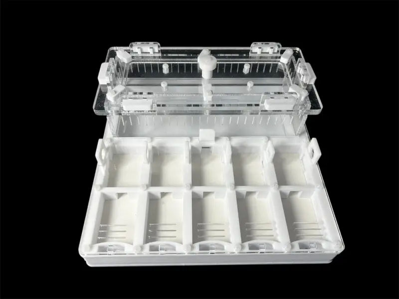 Мурашина ферма ANTMART Grid White 200х200 (Варіант Б) — гіпс Г-23 і PETG