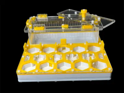 Мурашина ферма ANTMART Соти Yellow Б 200х200 мм