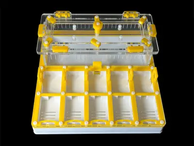Мурашина ферма ANTMART Grid Yellow 200х200 (Варіант Б) — гіпс Г-23 і PETG