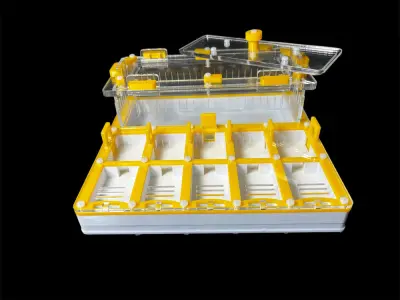 Мурашина ферма ANTMART Grid Yellow 200х200 (Варіант Б) — гіпс Г-23 і PETG