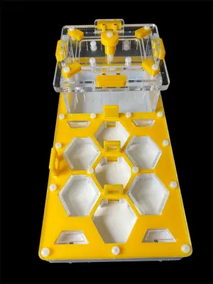 Мурашина ферма ANTMART Соти Yellow 220x110 Варіант Б