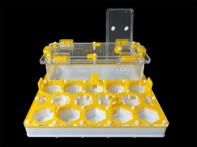 Мурашина ферма ANTMART Соти Yellow А 200х200 мм