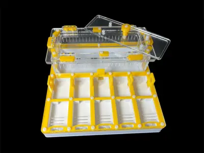 Мурашина ферма ANTMART Grid Yellow 200х200 (Варіант Б) — гіпс Г-23 і PETG