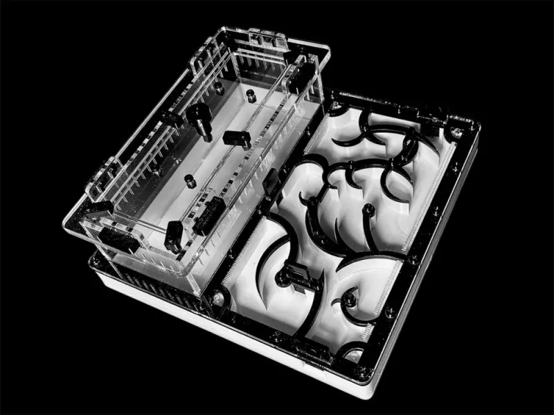 Мурашина ферма Origin Black 200х200 с гіпсом Г23 из PETG (Варіант Б)