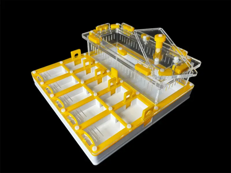 Мурашина ферма ANTMART Grid Yellow 200х200 (Варіант Б) — гіпс Г-23 і PETG
