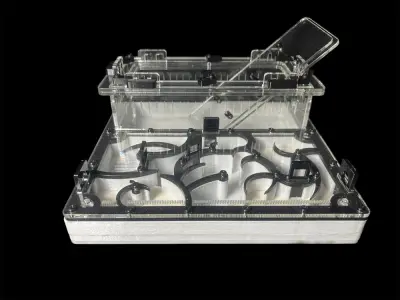 Мурашина ферма Origin Black 200х200 с гіпсом Г23 из PETG (Варіант А)