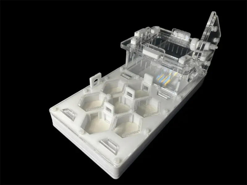 Мурашина ферма ANTMART Соти White 220x110 Варіант Б