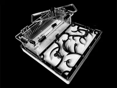 Мурашина ферма Origin Black 200х200 с гіпсом Г23 из PETG (Варіант Б)