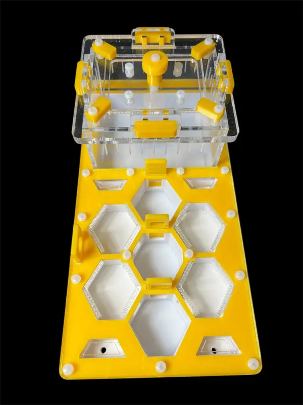 Мурашина ферма ANTMART Соти Yellow 220x110 Варіант А